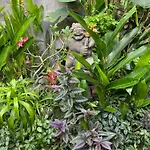 Kope House Ubud